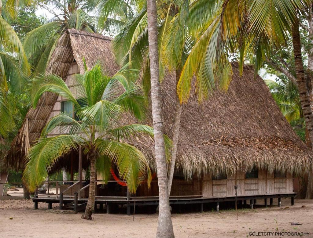 Reserva Natural El Matuy Palomino Extérieur photo